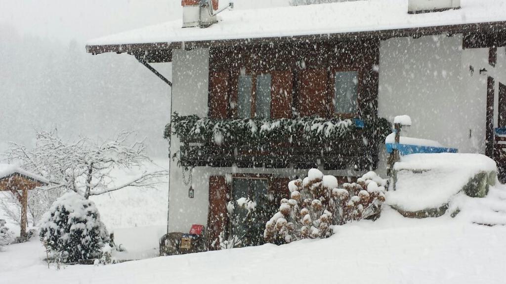 Chalet Monica Molina di Ledro Dış mekan fotoğraf